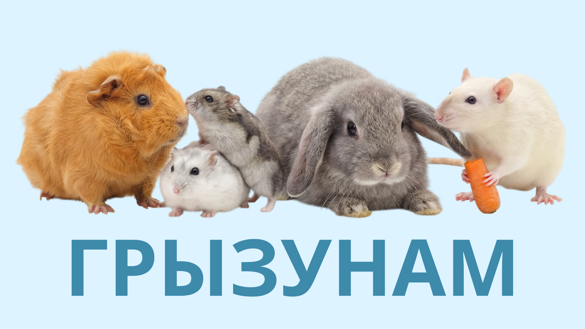 Грызунам